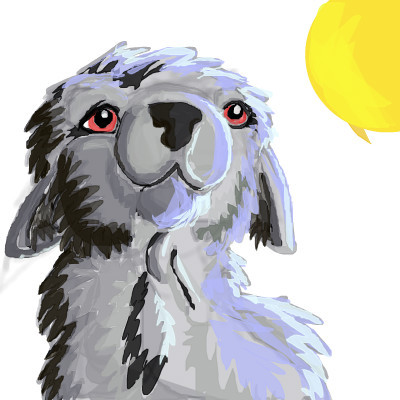 wolfeh-finnished
