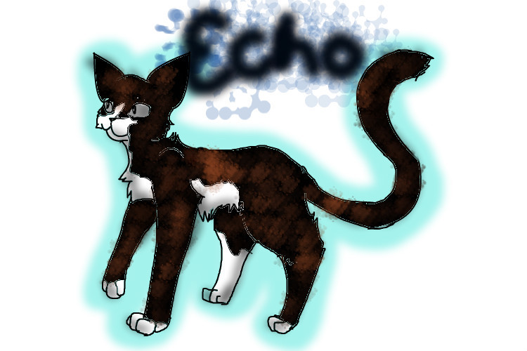 echo