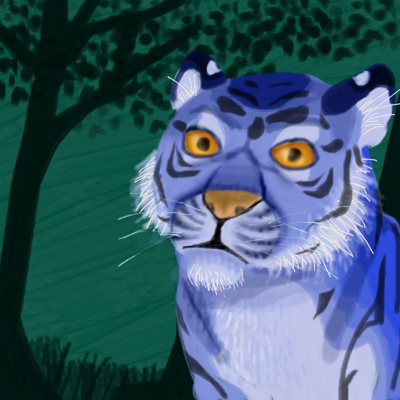 blu-taiger