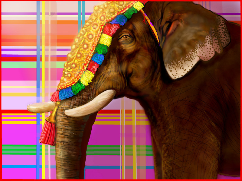 elephant