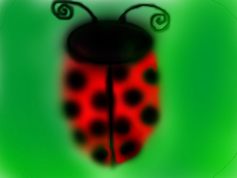 ladybug