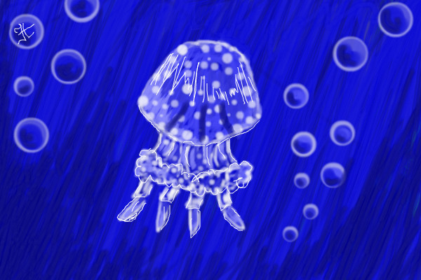 jellyfish