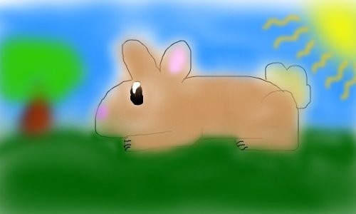 bunny