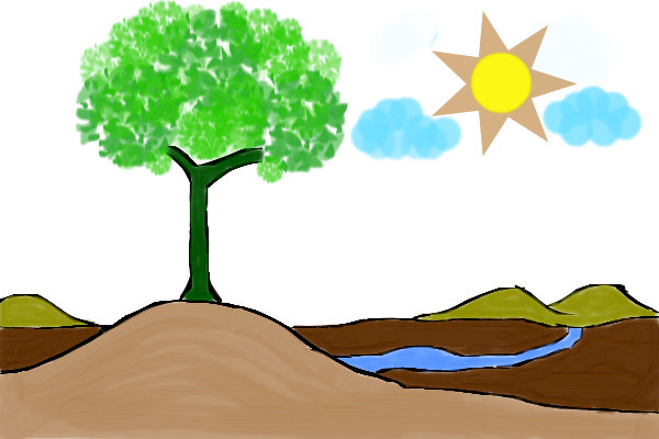 tree