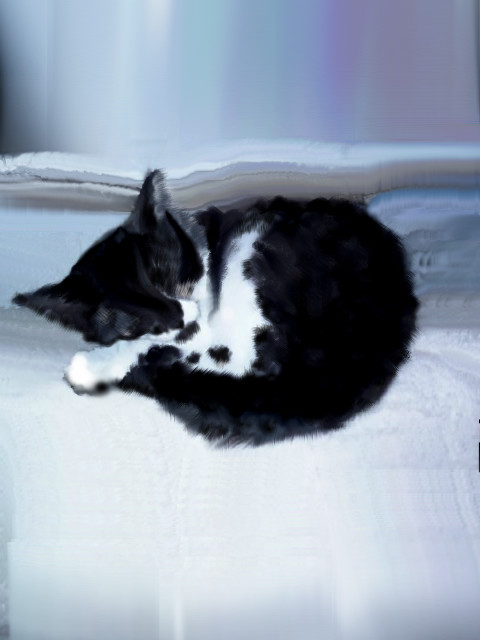 schlummernde-katze
