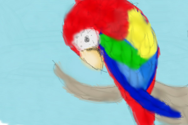 parrot