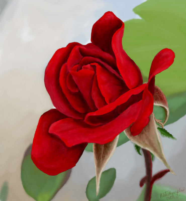 the-red-rose