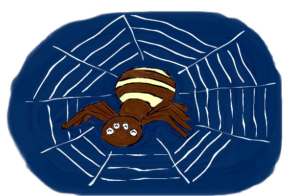 spider