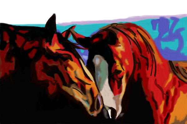 caballos