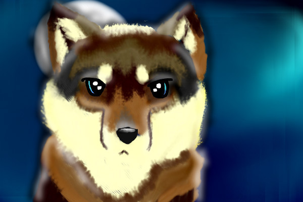 wolf-in-moon-light