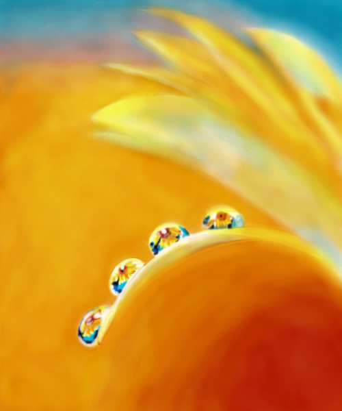 gotas