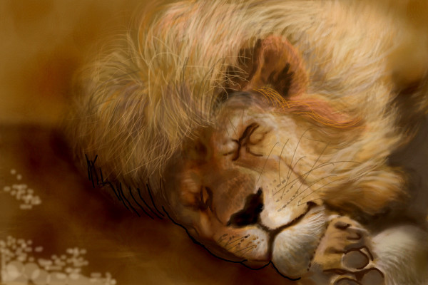 sleep--all-day
