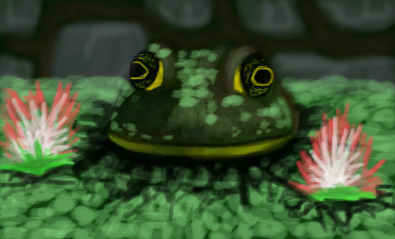 froggy-time