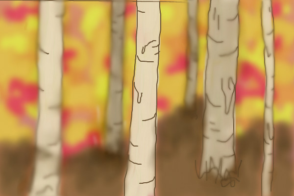 autumn-birch
