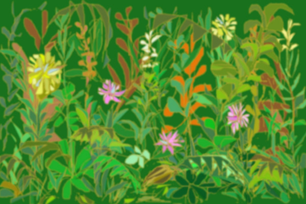 wild-plants