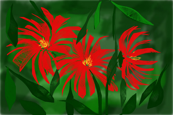 flowers