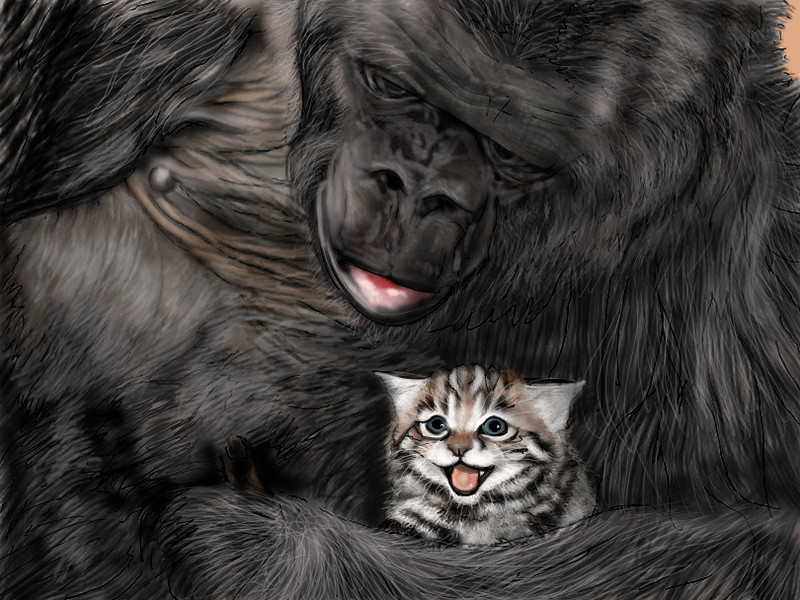 koko
