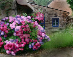 old-country