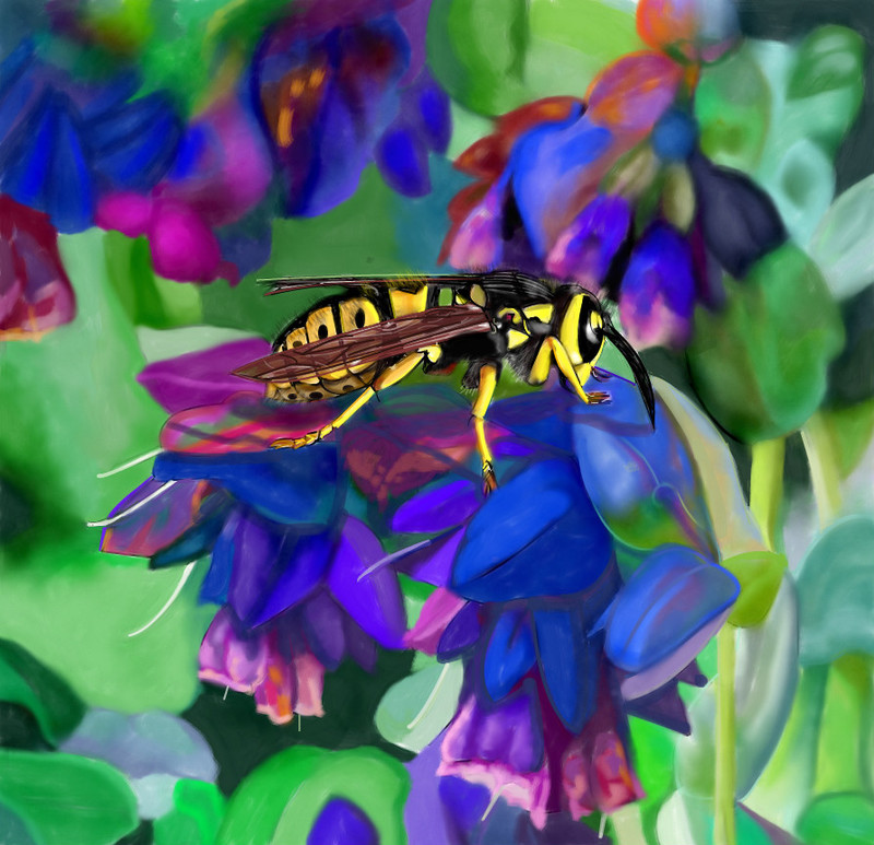 yellowjacket