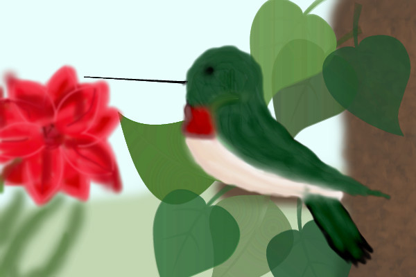 hummer