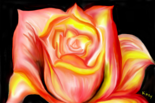 rose