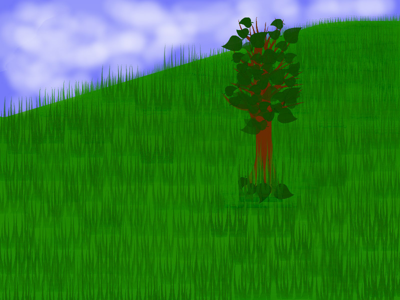 field