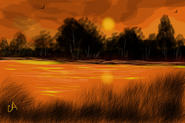 sunset