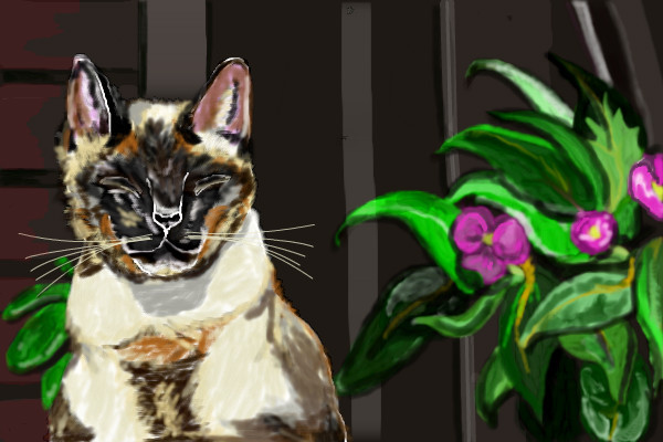 cat-with-flowers