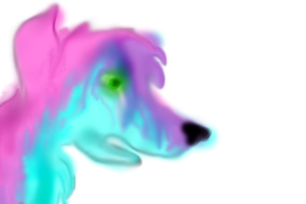 cotton-candy-wolf