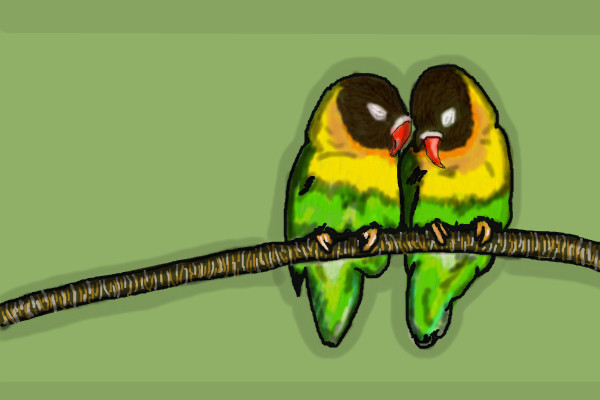 love-birds