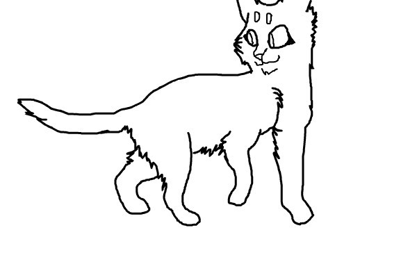 cat-line-art