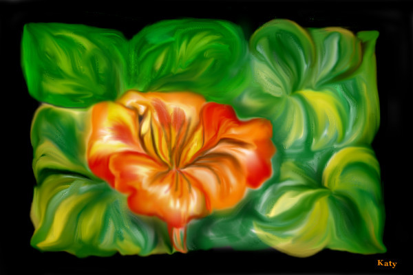 orange-flower