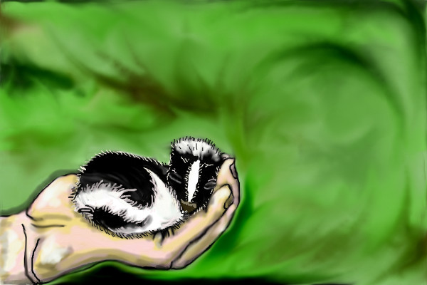 skunk