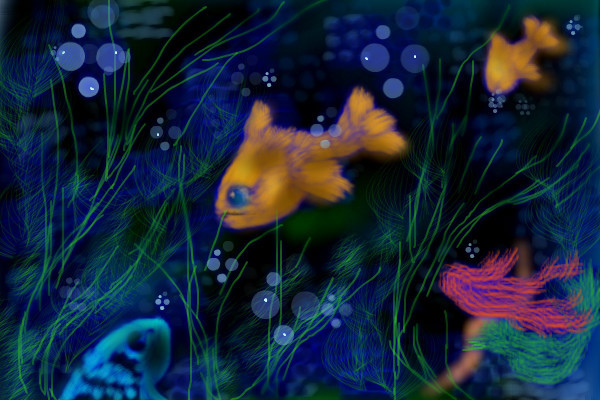 splash
