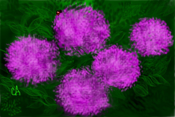 flowers