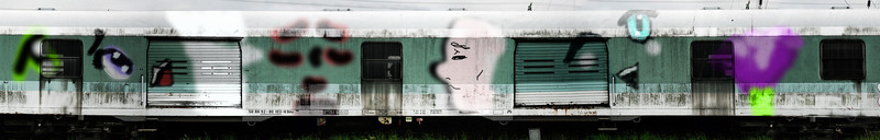 train-graffiti