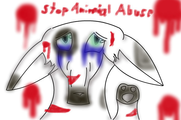 stop-animal-abuse