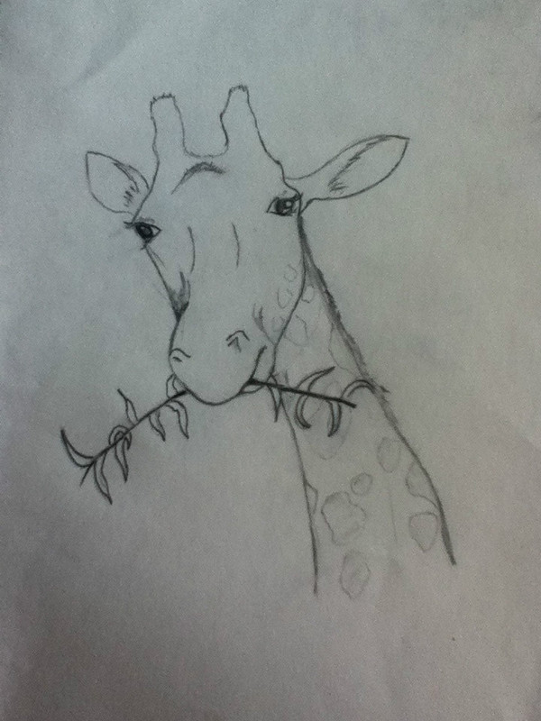 giraffe