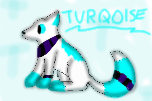turquoise-new-design