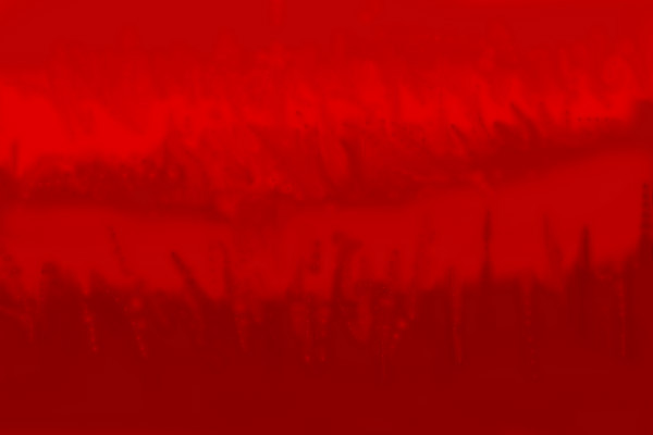 smudge-tool-test
