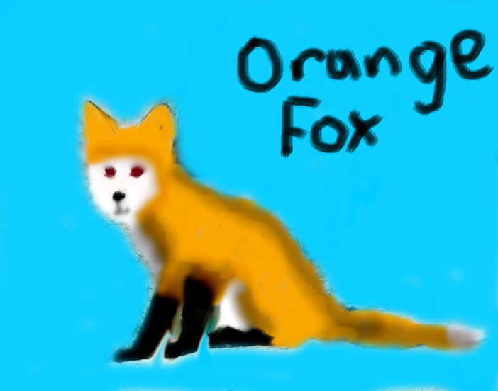 orange-fox