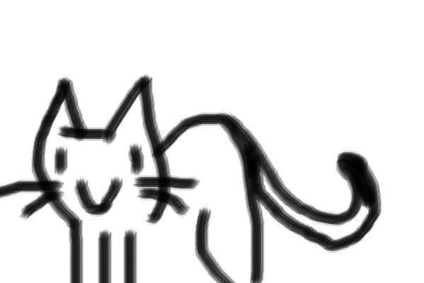 maow