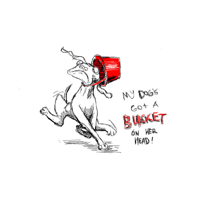 bucket-on-her-head