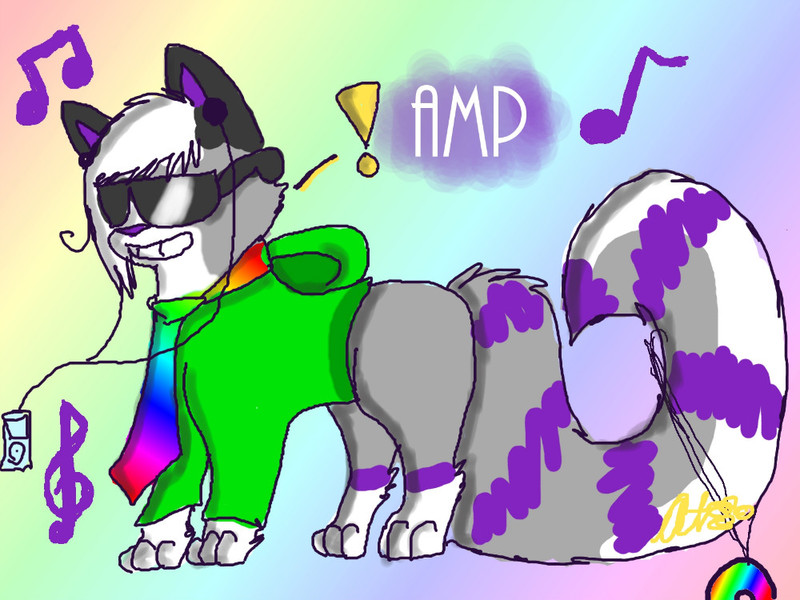 amp-read-disc