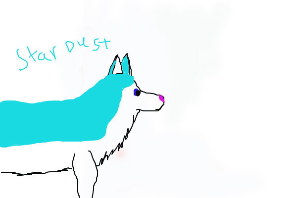 stardust