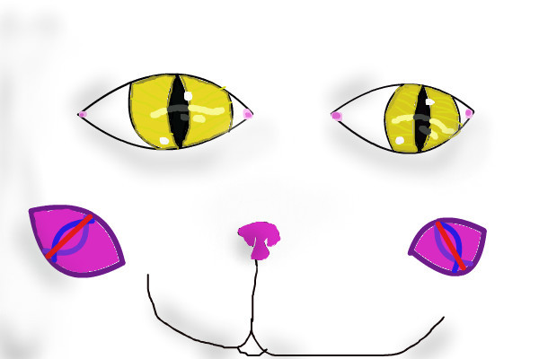 rainys-cat