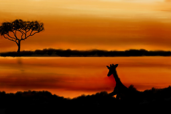 african-plain