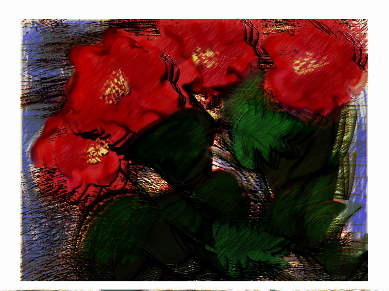 wild-roses