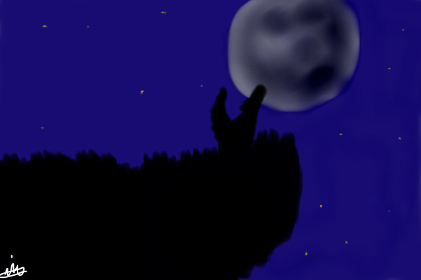 wolf-sketch