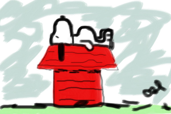 failed-attempt-to-snoo